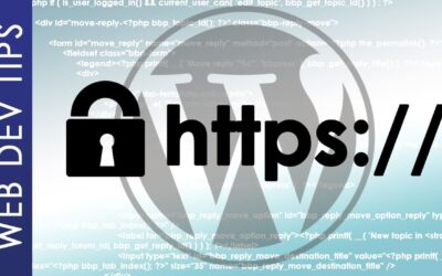 WordPress ERR_TOO_MANY_REDIRECTS