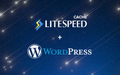 Litespeed Cache issues on WordPress Multisite
